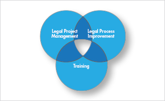 <p>Combining principles of LPI/LPM with firmwide training, <em>ALIGN</em> helps ensure that the right resources are <em>aligned</em> with the right work at the right time.</p>
