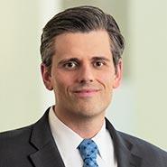 Portrait of Zoran G. Kuljis