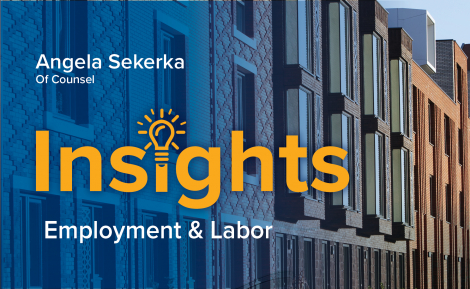 Angela Sekerka - Employment and Labor Insight