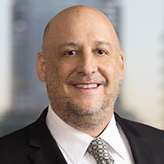 Portrait of Daniel B.  Wolfberg