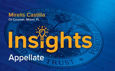 Mirelis Castilla Florida Appellate Court Insight