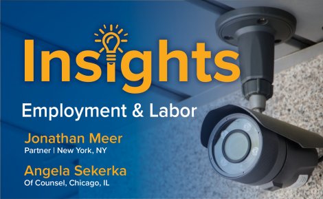 Jon Meer and Angela Sekerka - Employment and Labor Doorbell Cameras Insight